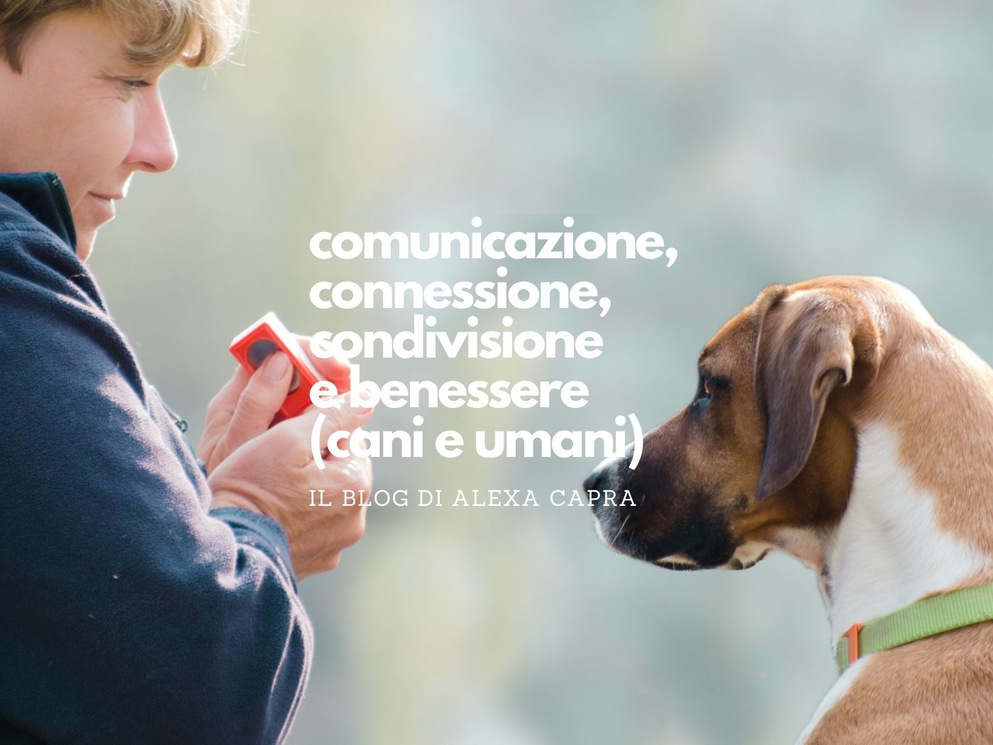 benessere del cane e del cucciolo