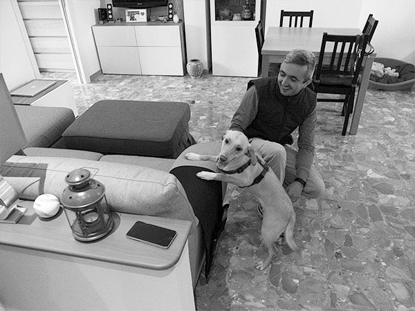 cane abbandonato nuova casa