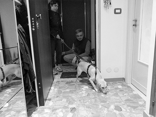 cane adottato primo giorno in famiglia