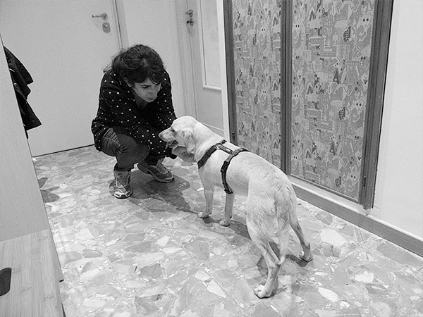 cane adottato nuova famiglia