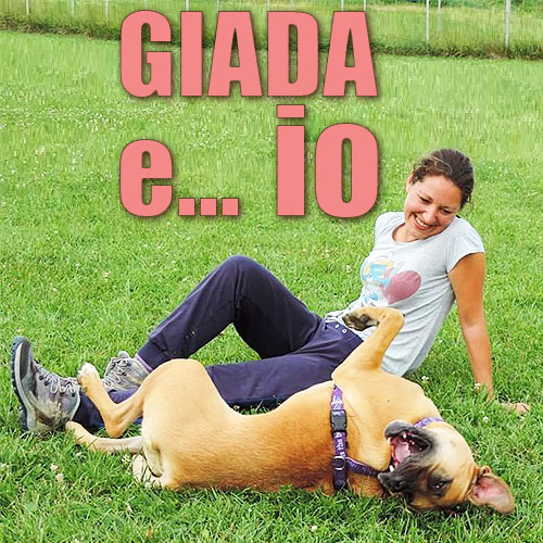 insegnare autocontrolli nel cane