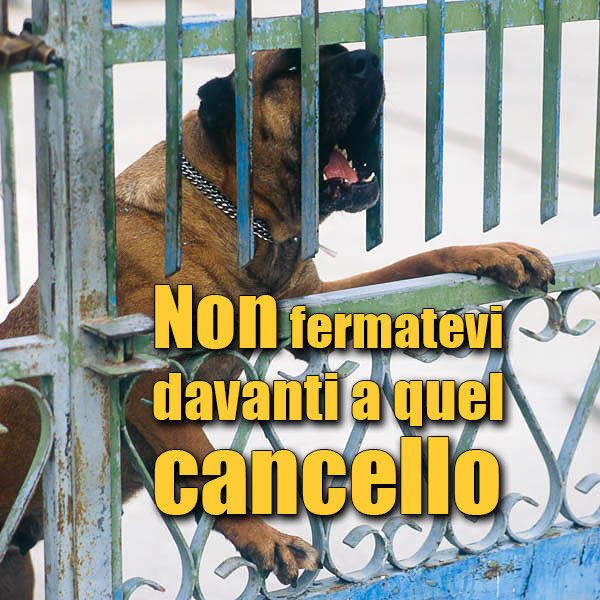 aggressività del cane difesa della casa