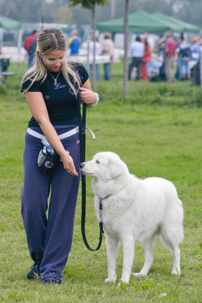 apprendimento condizionamento addestrare cane