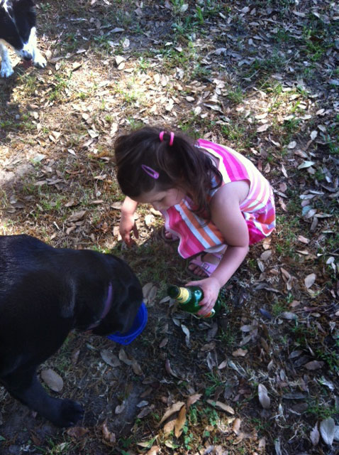cane aggressivo labrador border collie bambini