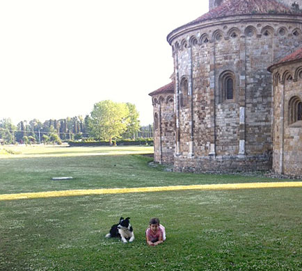 cane aggressivo labrador border collie bambini