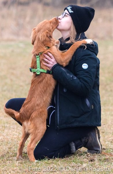 cucciolo di cane salta alla faccia