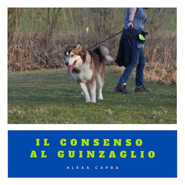 la passeggiata col cane al guinzaglio