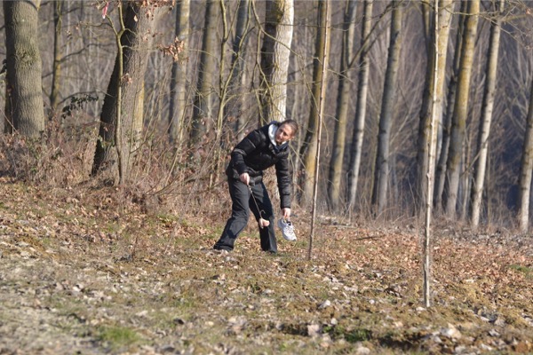 recupero cani con handicap