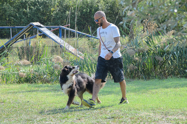 la comunicazione con il cane