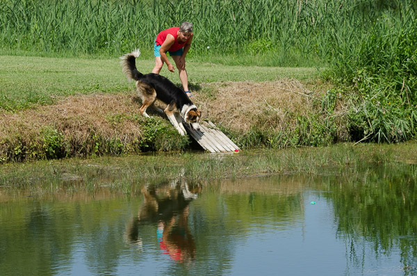 comunicazione cane proprietario
