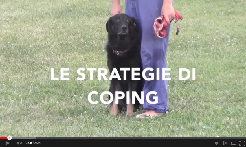 cane coping giocattolo