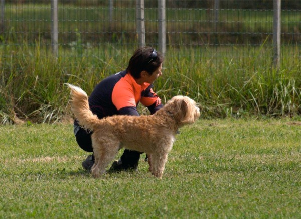 clicker training addestramento del cane