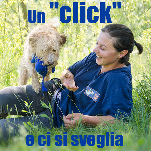clicker training apprendimento