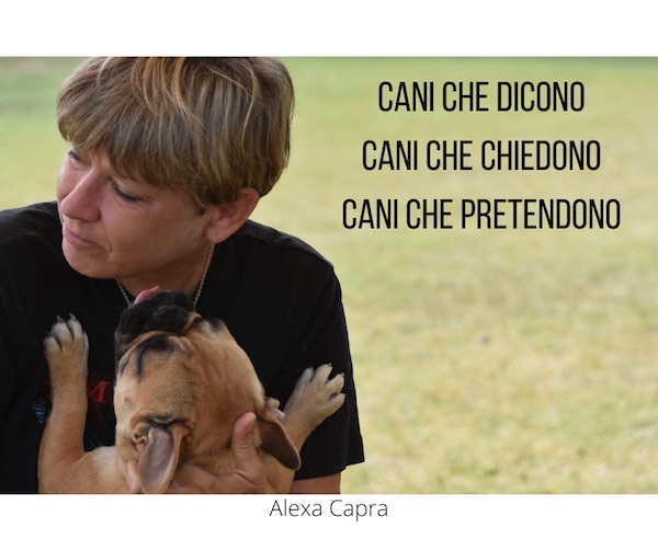 come comunicare con il proprio cane