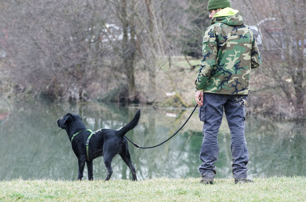 cane al guinzaglio lungo