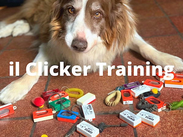 clicker educazione del cane