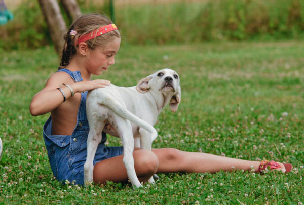 stress comportamento del cucciolo