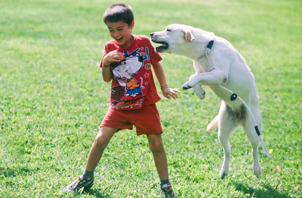 cuccioli aggressività paura stress bambini