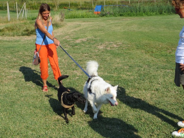 tirare al guinzaglio