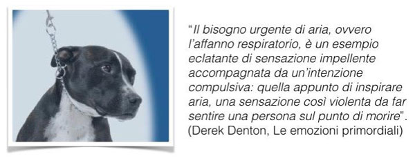 la gestione del cane al guinzaglio