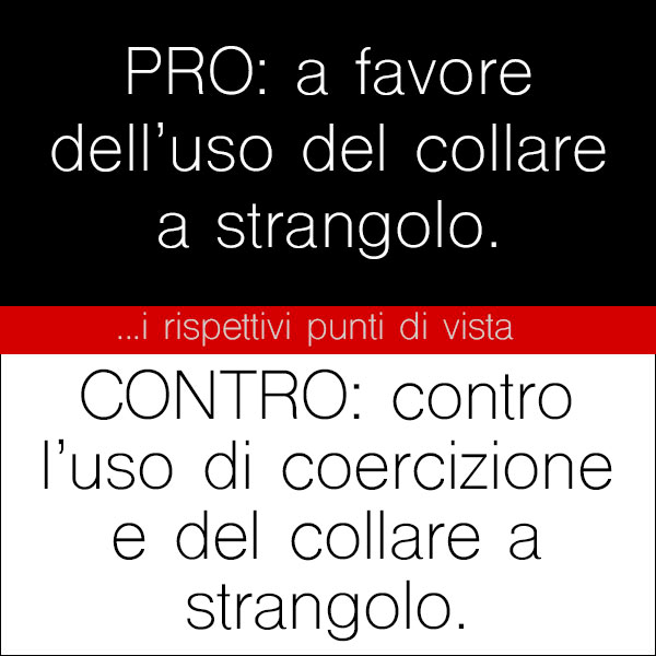 il collare del cane
