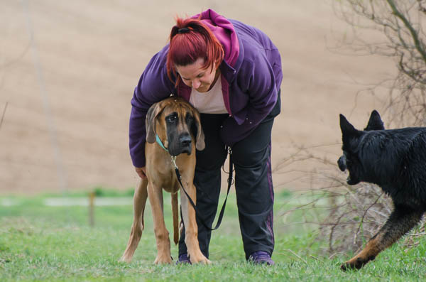 contatto sociale con cane pauroso