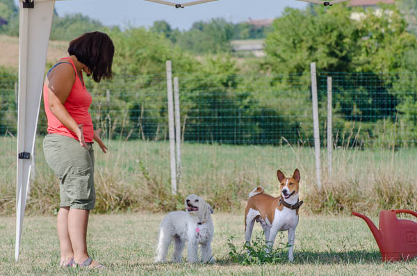 comunicazione uomo cane