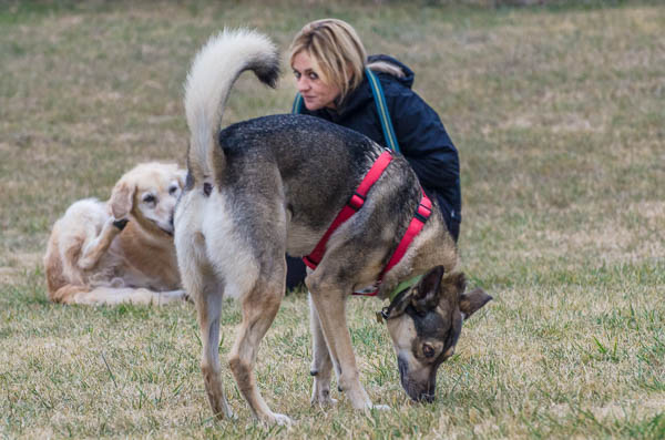 condividere emozioni con il proprio cane