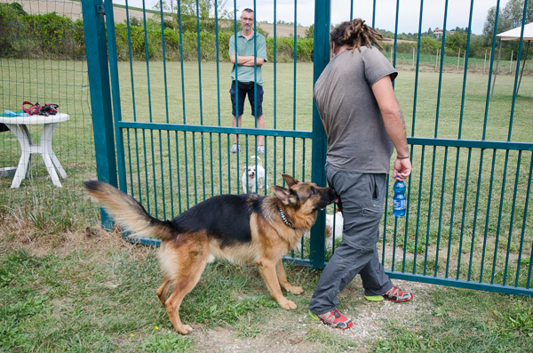 marcatura olfattiva odore individuale nel cane