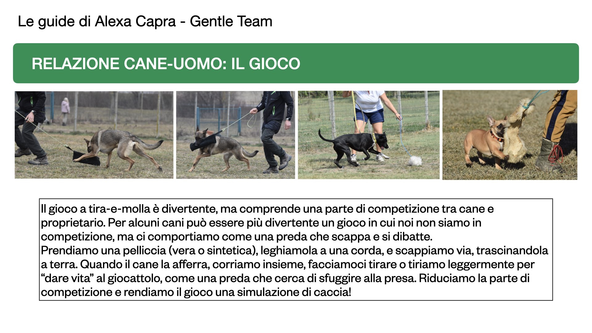 la comunicazione del cane