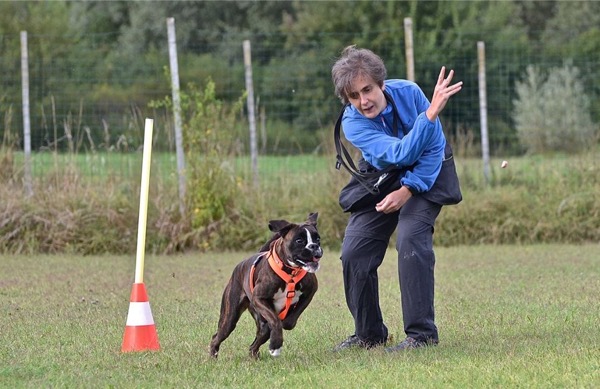usare il cibo nel rinforzare un comportamento del cane