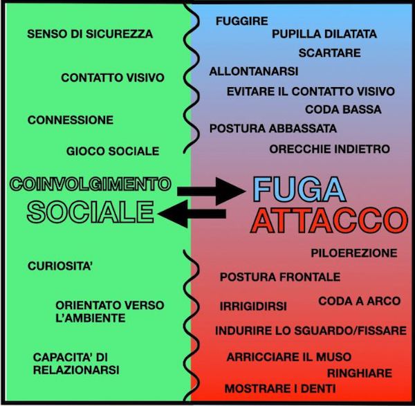 comportamenti di fuga e attacco del cane
