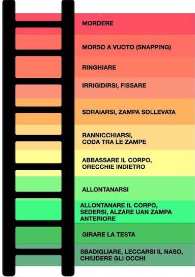 scala aggressività del cane