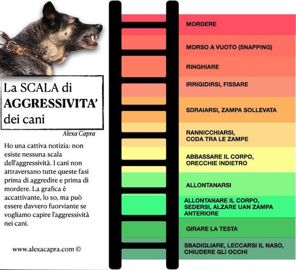 scala aggressività del cane