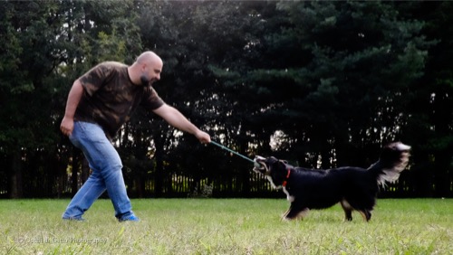 giocare con il cane fune tira e molla 