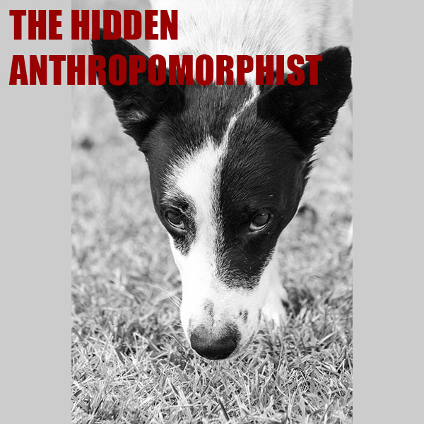 human emotions to dogs