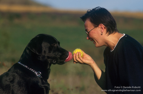 dog to human translator