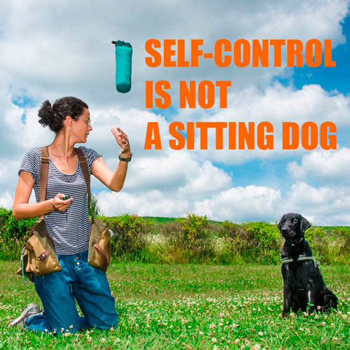 self-control dog training