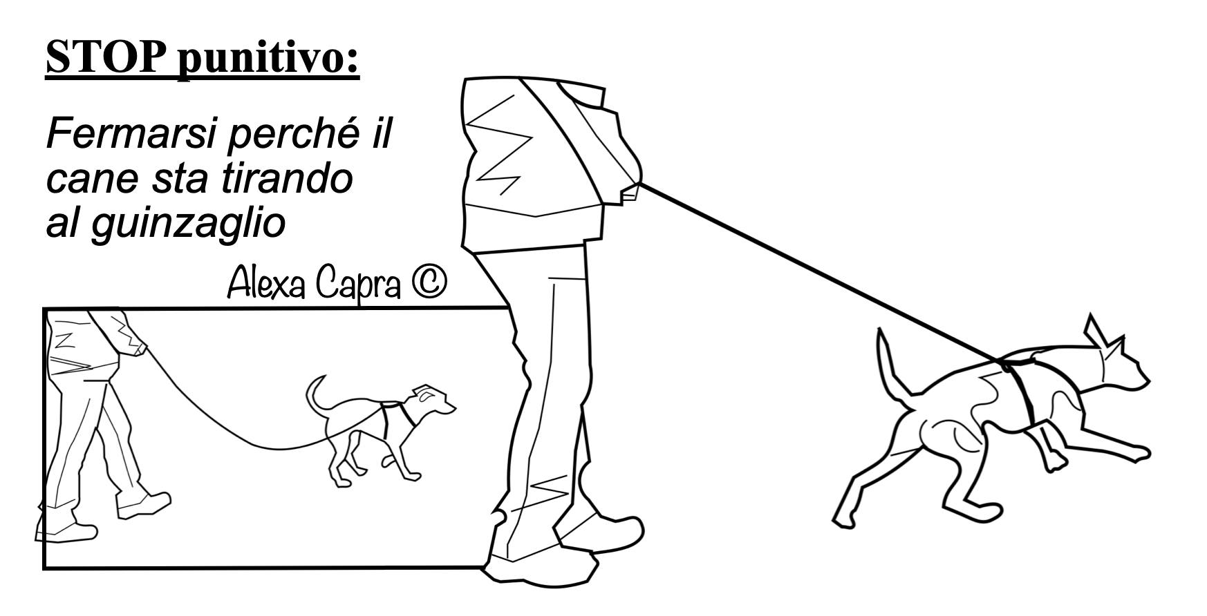 cane che tira al guinzaglio
