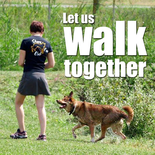 walking with your dog