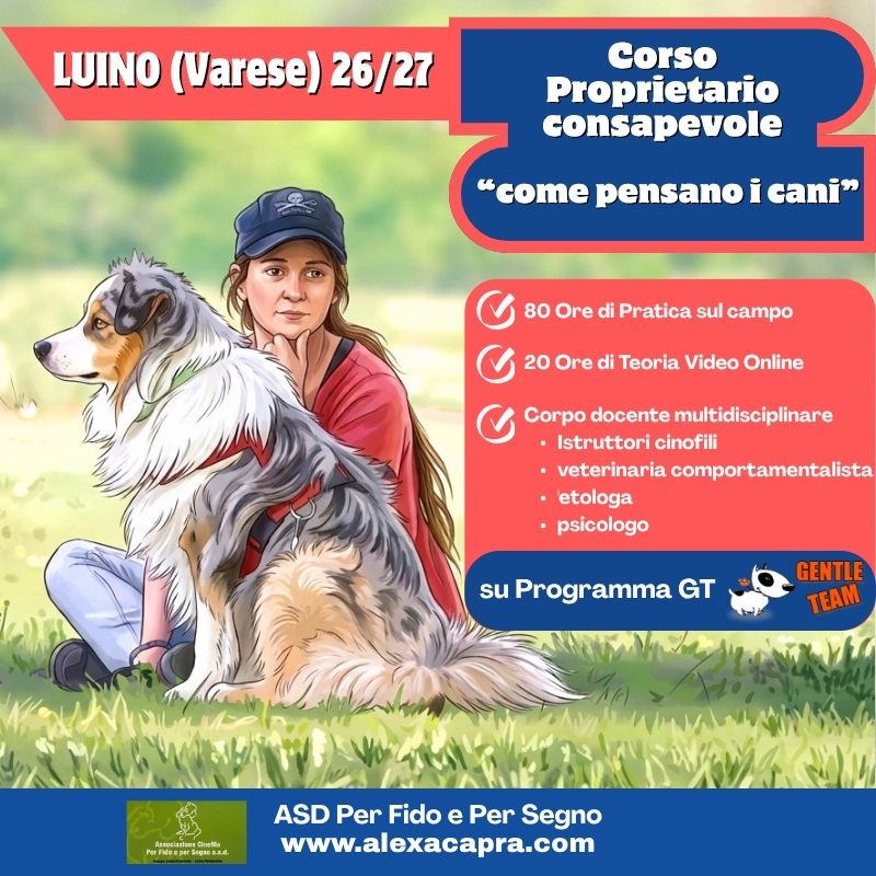 Corso Scopri come Pensano i Cani, Proprietario consapevole