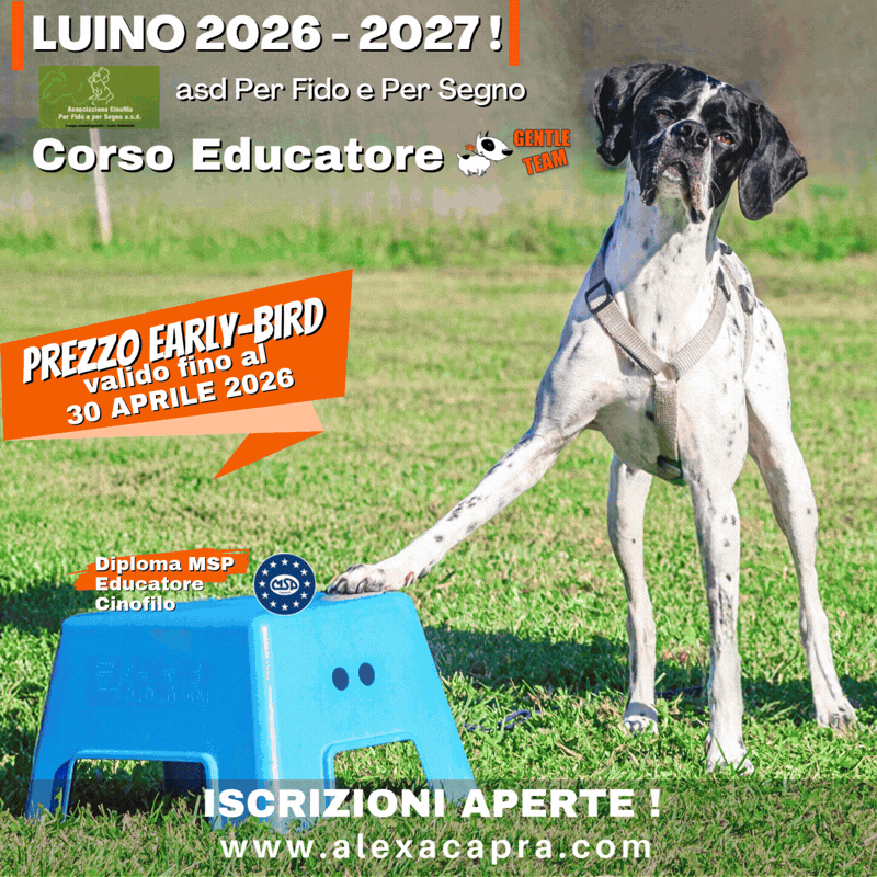 corso educatore cinofilo