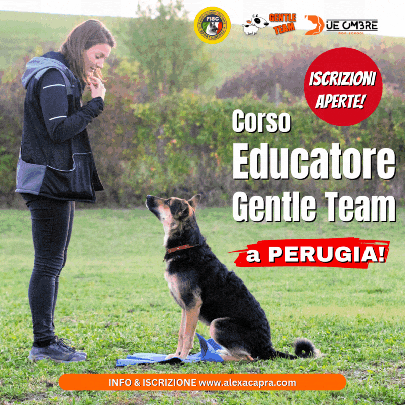 corso educatore cinofilo perugia due ombre