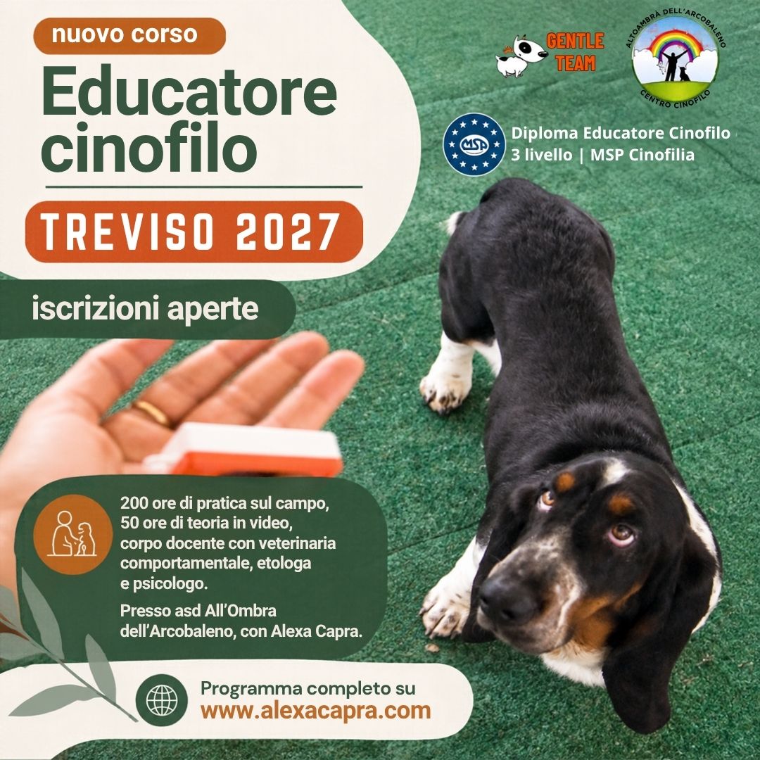 Corso Educatore Cinofilo Gentle Team Treviso