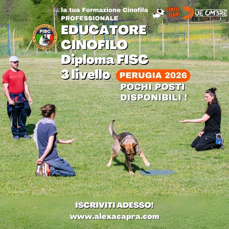 corso educatore cinofilo perugia due ombre