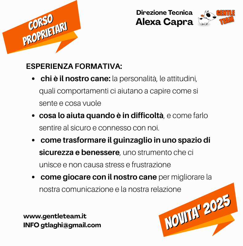 corso educazione del cane