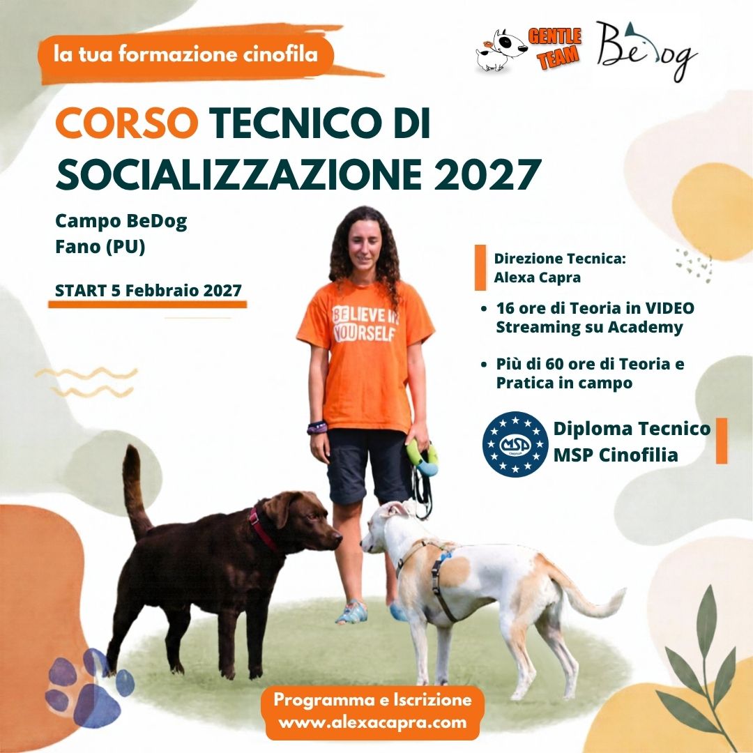 Corso Tecnico di Socializzazione Gentle Team i Laghi 