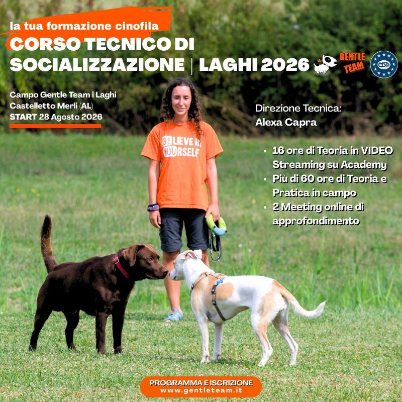 corso operatore di classi di socializzazione del cane