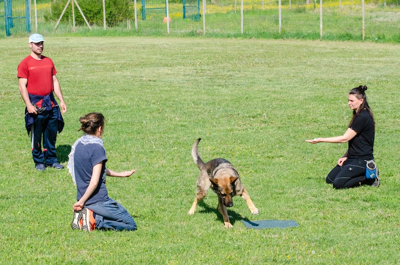 corso addestratore cinofilo umbria marche