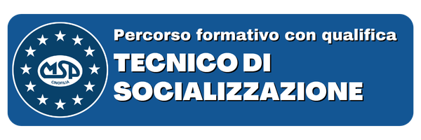 corso tecnico msp